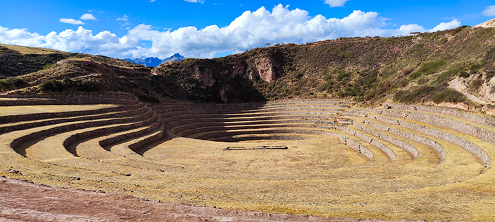 Il giardino delle tradizioni: spiritualità ancestrale e sfide della modernità